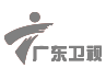 廣東衛視